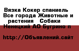 Вязка Кокер спаниель - Все города Животные и растения » Собаки   . Ненецкий АО,Бугрино п.